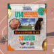 Sucre presente en Campeonato Nacional U14 de baloncesto